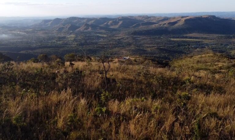 Cerrado