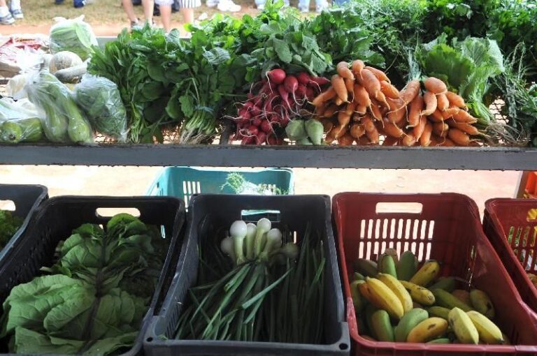 Verduras