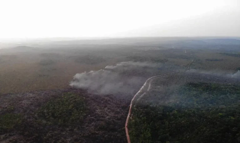 Queimadas Amazônia