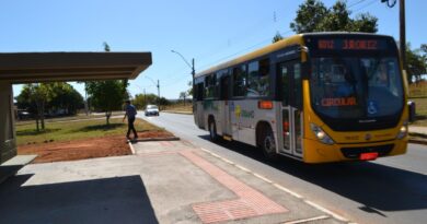 linha de ônibus, ônibus