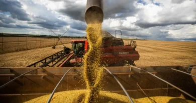 Multinacional oferece estágio em agronomia com bolsa de R$ 2,9 mil em Planaltina