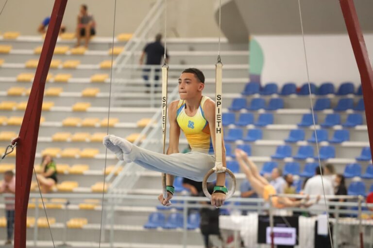 Ginástica artistica