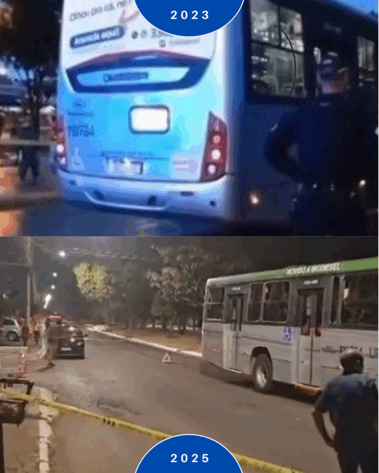 ônibus