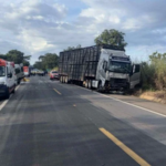Acidente na BR 020, em Goiás