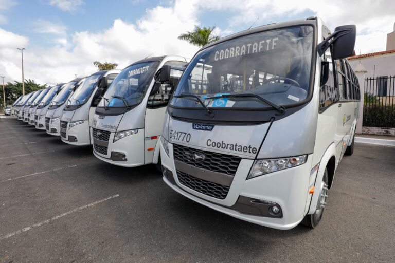 Novos ônibus