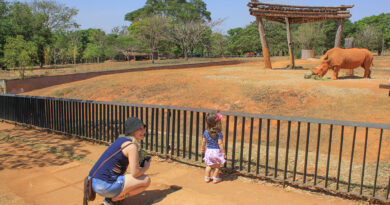 zoológico