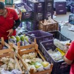 AGRICULTURA