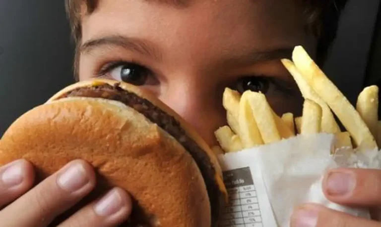 criança com fast food